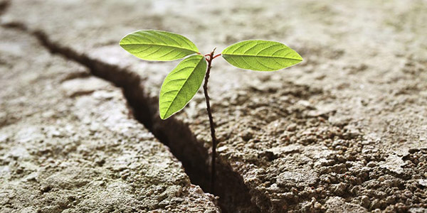 14 Ways To Be More Resilient & What Resilience Means To Me